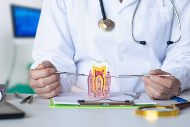 Best Same-Day Emergency Dental Services in Petersburg, IN